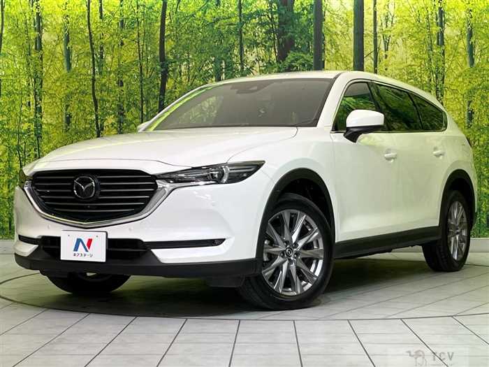 2019 Mazda CX-8