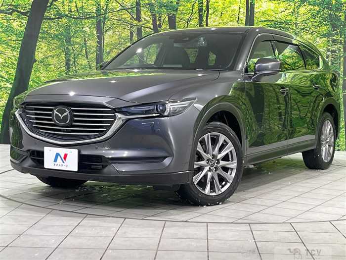 2019 Mazda CX-8