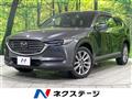 2019 Mazda CX-8