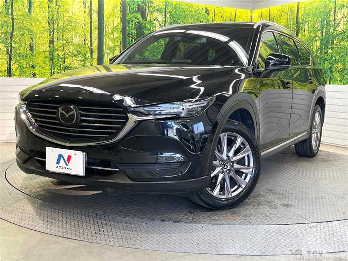 2019 Mazda CX-8