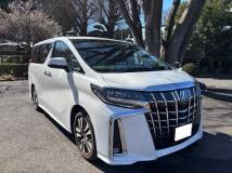 2019 Toyota Alphard G