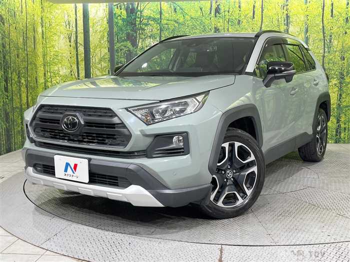 2019 Toyota RAV4
