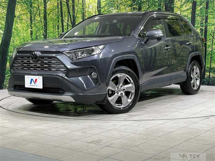 2019 Toyota RAV4