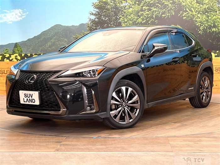 2019 Lexus Other