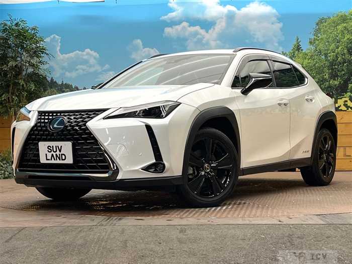 2020 Lexus Other