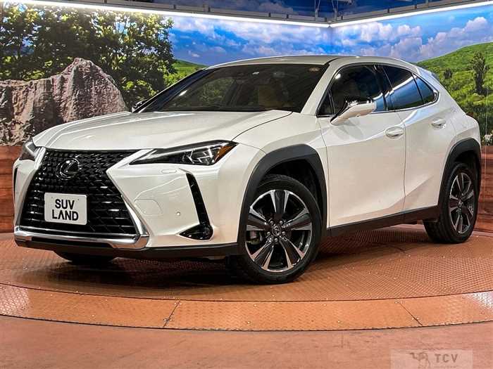 2023 Lexus Other