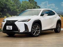 2019 Lexus Other