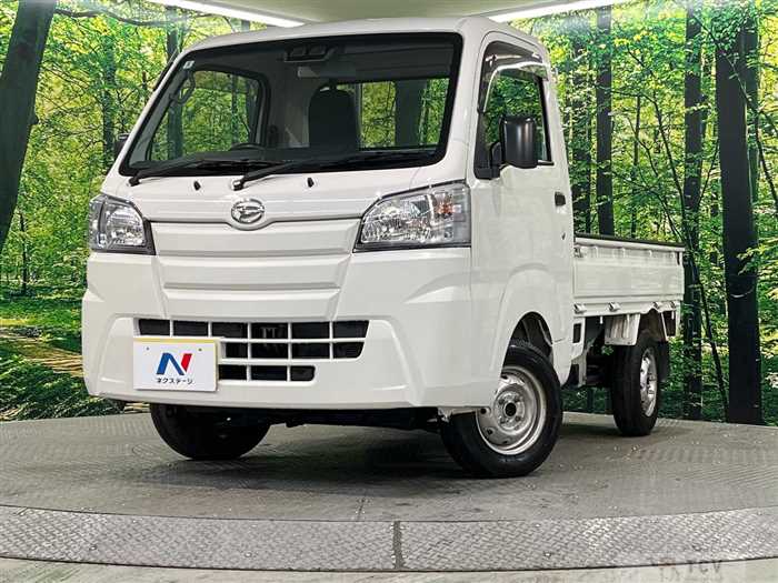 2019 Daihatsu Hijet Truck