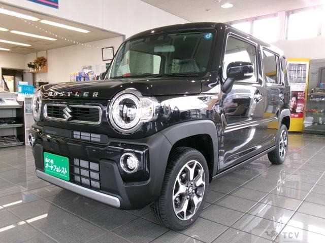 2026 Other All Other All