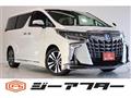 2019 Toyota Alphard G
