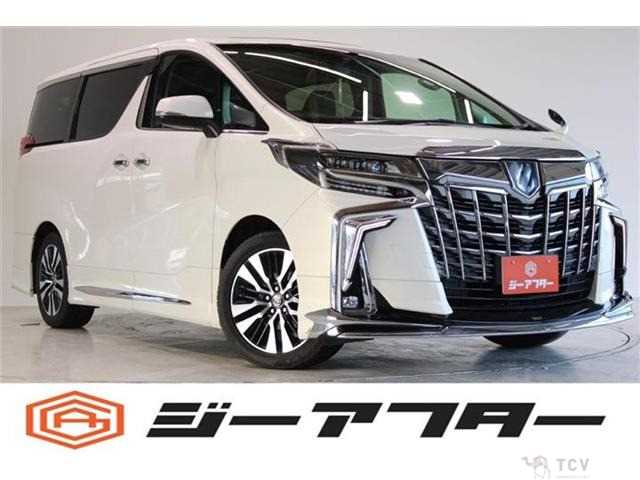2019 Toyota Alphard G