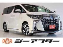 2019 Toyota Alphard G