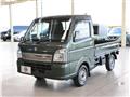 2019 Suzuki Carry Truck