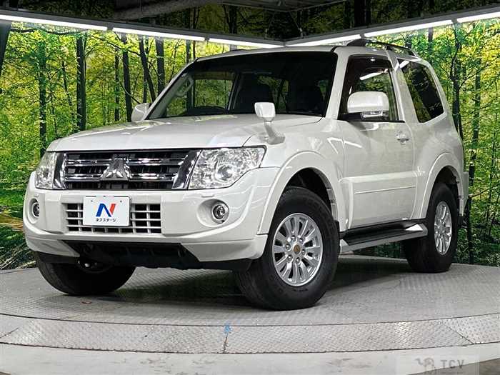 2013 Mitsubishi Pajero