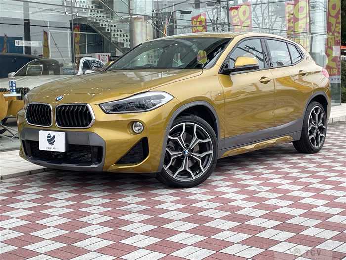 2019 BMW X2