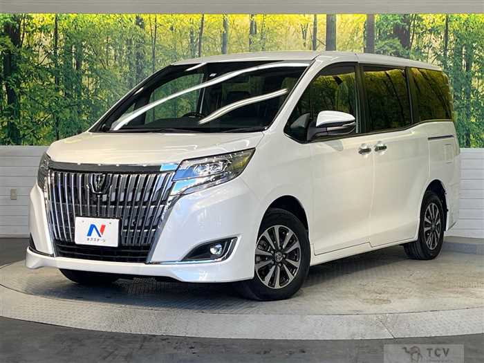 2019 Toyota Esquire