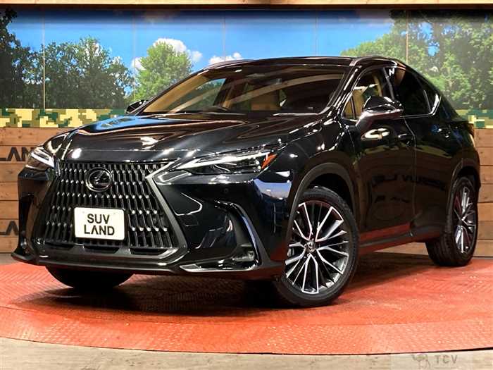 2022 Lexus NX