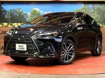 2022 Lexus NX