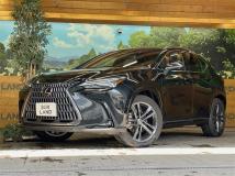 2023 Lexus NX