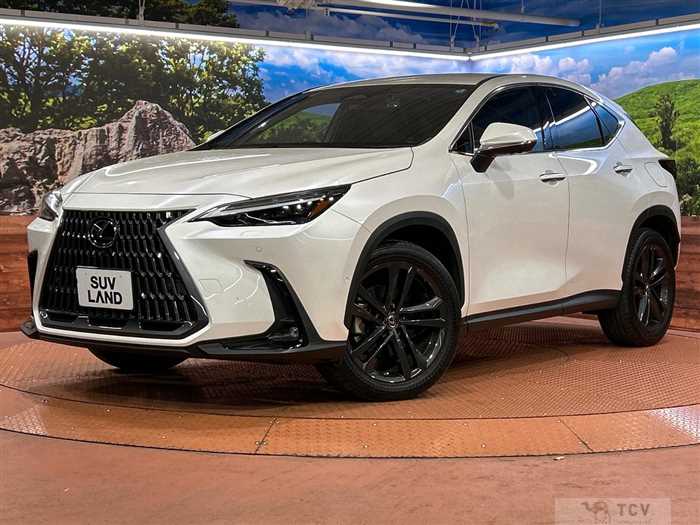 2023 Lexus NX
