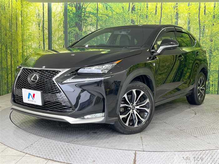 2015 Lexus NX