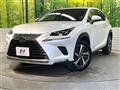 2018 Lexus NX