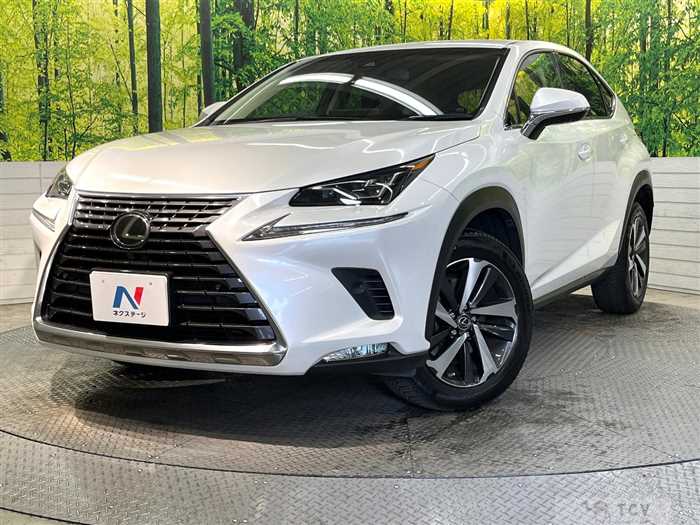 2018 Lexus NX