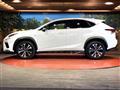 2019 Lexus NX