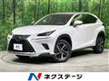 2019 Lexus NX