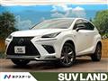 2020 Lexus NX