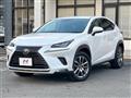 2020 Lexus NX