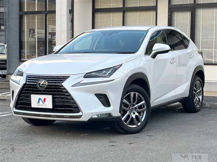 2020 Lexus NX