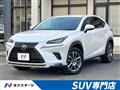 2020 Lexus NX