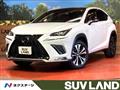 2020 Lexus NX