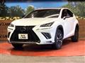 2019 Lexus NX