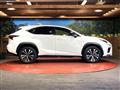 2019 Lexus NX