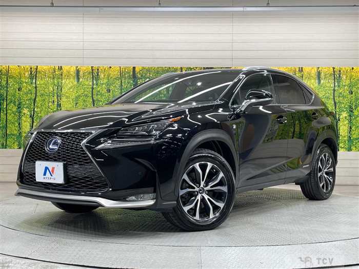 2014 Lexus NX