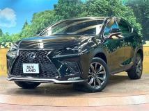 2017 Lexus NX