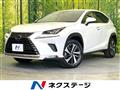 2019 Lexus NX