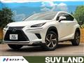 2020 Lexus NX