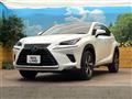 2020 Lexus NX