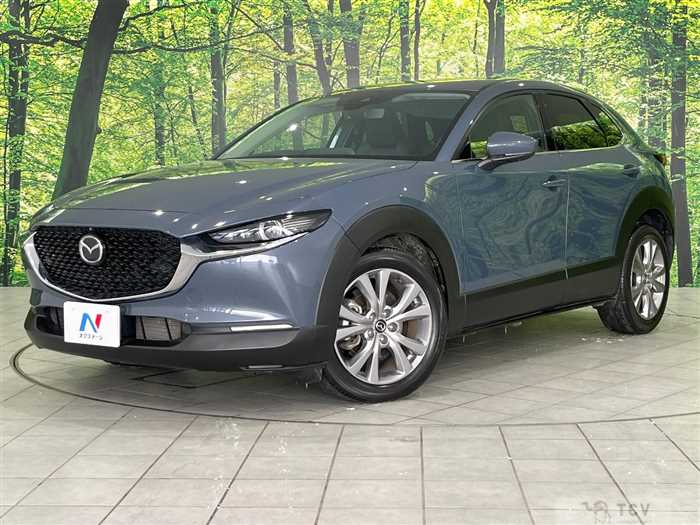 2020 Mazda Mazda Others