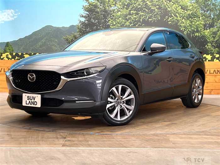 2020 Mazda Mazda Others