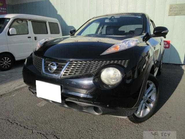 2010 Nissan Juke