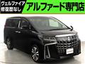 2019 Toyota Alphard G