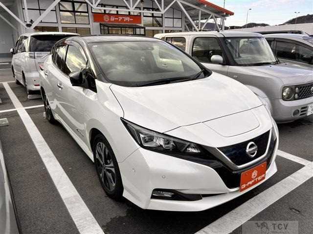 2019 Nissan Nissan Others