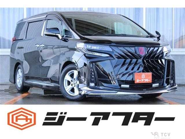 2019 Toyota Alphard G