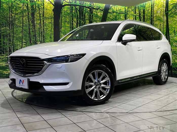 2018 Mazda CX-8
