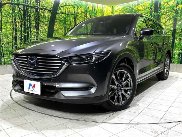 2019 Mazda CX-8