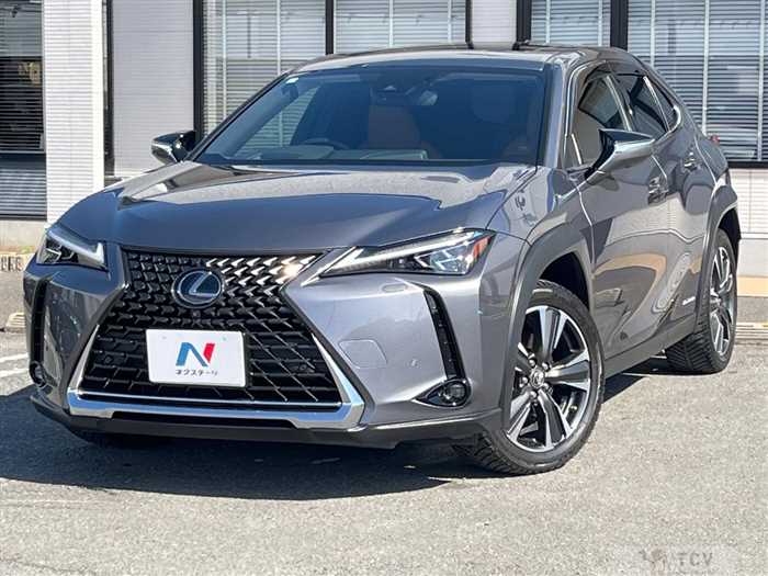 2019 Lexus Other